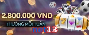 net13