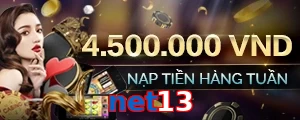 net13