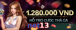 net13