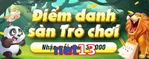 net13