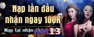 net13