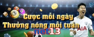 net13