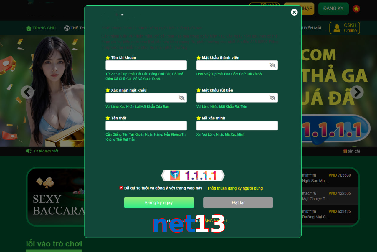 net13